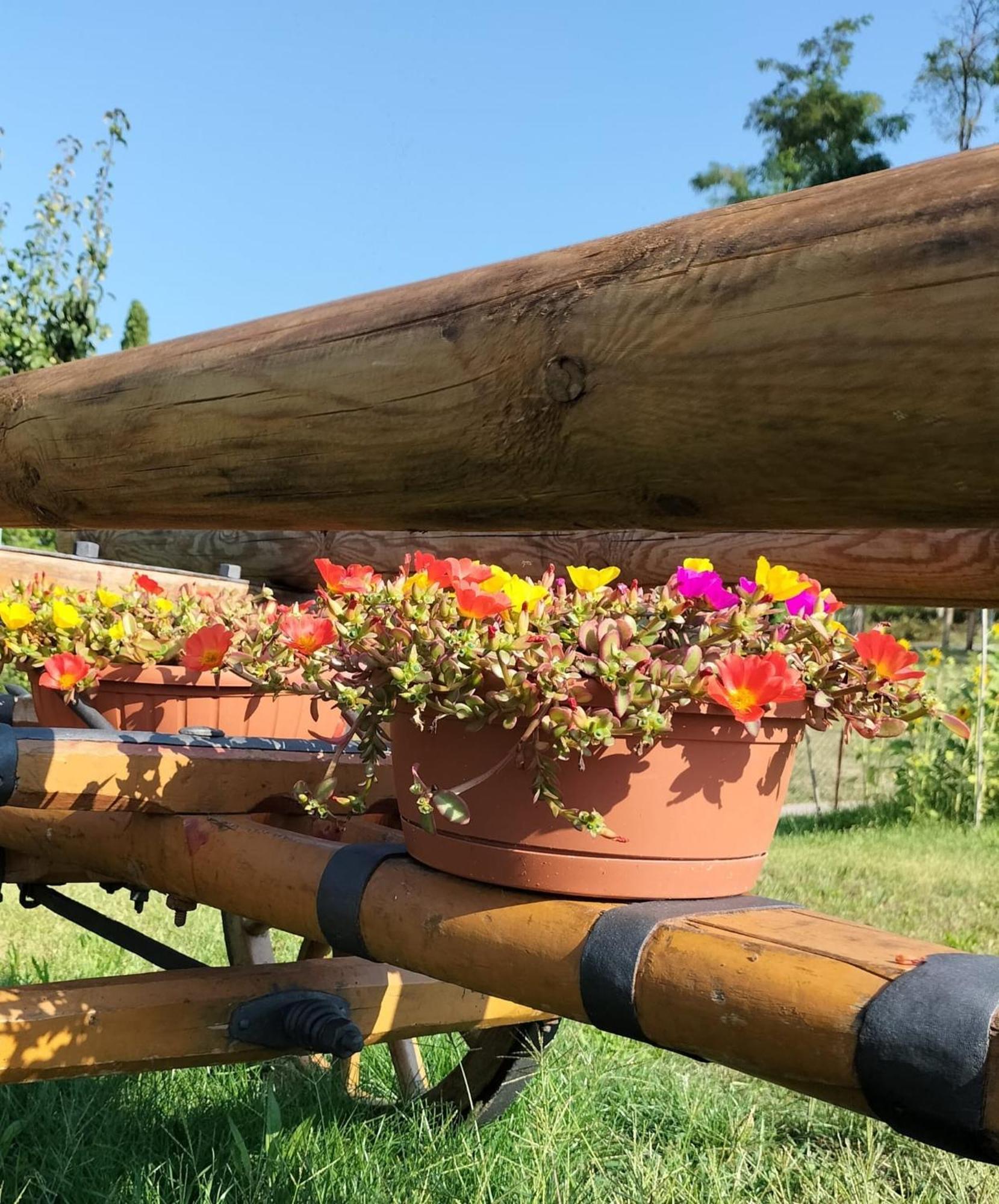 I Girasoli Санцено Экстерьер фото