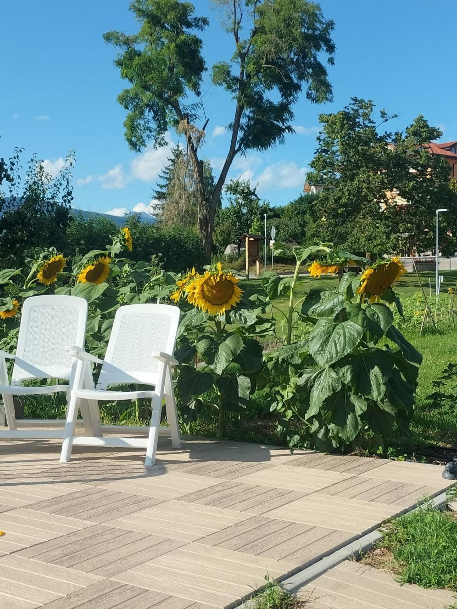 I Girasoli Санцено Экстерьер фото
